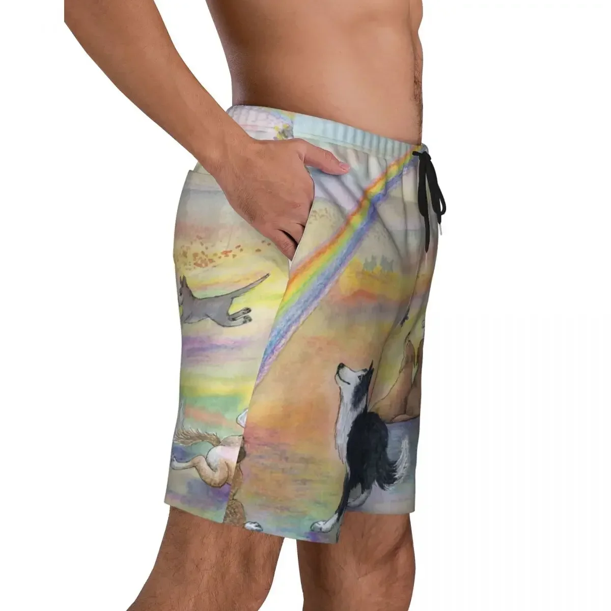 Dogs Wait For Their Humans At Rainbow Bridge Swim Trunks Swimwear Dry Beach Board Shorts Bearded Collie Pet Swimming Boardshorts