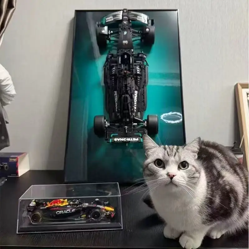 NEW Only Display Wallboard suitable for LEGO 42171 Mercedes-AMG F1 building block car model Wall Mount Display box Photo Frame