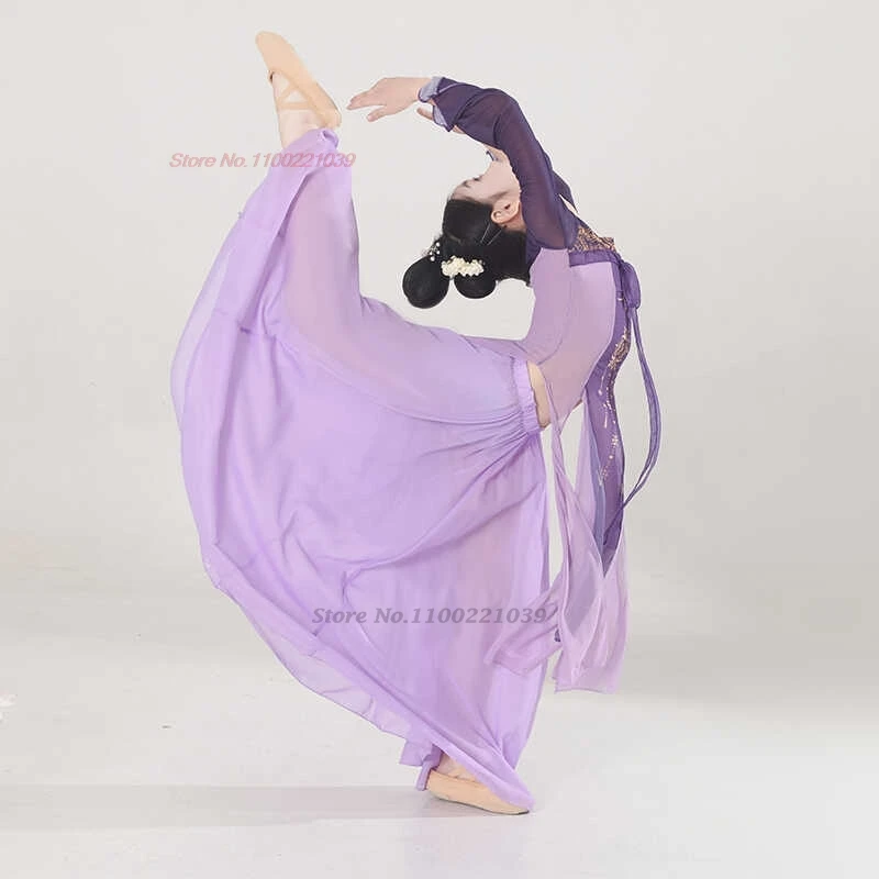 2025年中国風ヴィンテージ民族舞踊衣装花柄メッシュ漢服トップス+スカートセット伝統舞台公演ダンス妖精ドレス