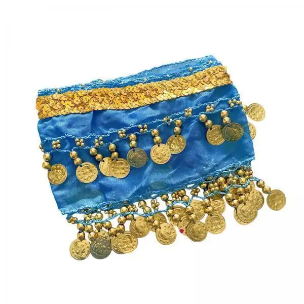 Dog Belly Dance Skirt Polyester Hip Scarf Bright Sequin Waist Chain Universal Fit for Celebration