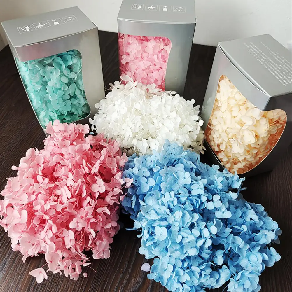 

20g Dried Hydrangea Flowers DIY Jewelry Making Crafts Nail Art Natural Flowers Hydrangea Pressed Flower Wedding Party Decoration