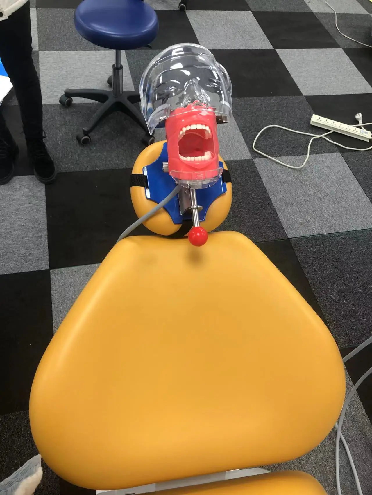 Simple Head Model Dental Simulator Manikin Phantom Typodont Standard Model Dentistry Lab Equipment For Teaching Study Training