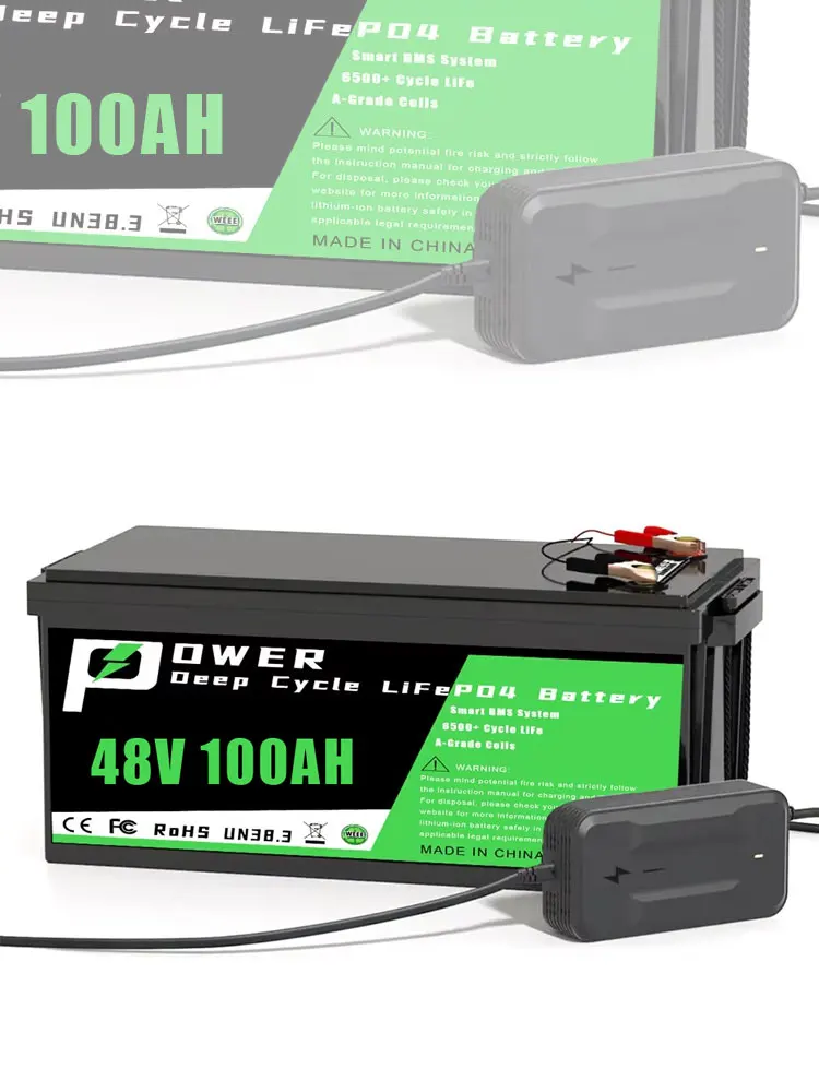 48V 100Ah LiFePO4 Batterie 51,2V Lithium-Eisenphosphat mit eingebautem 100A BMS 58,4V Ladegerät für Solar-Haushaltsstromspeicher und Golfcarts