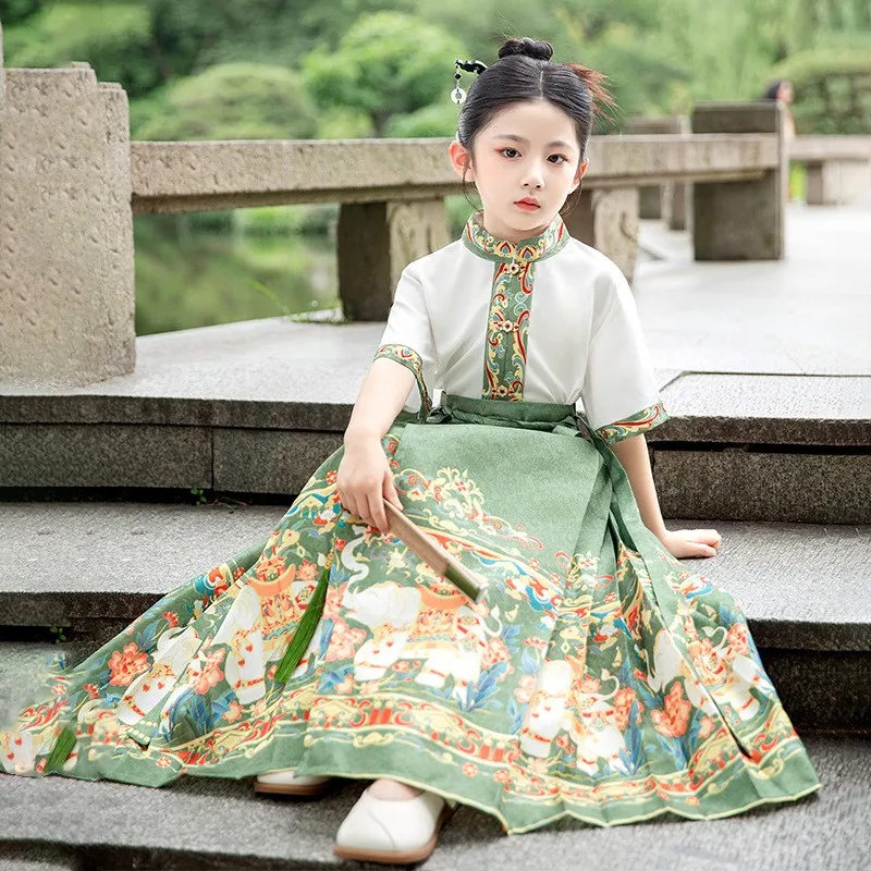 여자 Hanfu Mamian Qun Ming 왕조 직조 금 말 얼굴 스커트 중국 전통 고대 Hanfu 스윙 학생복
