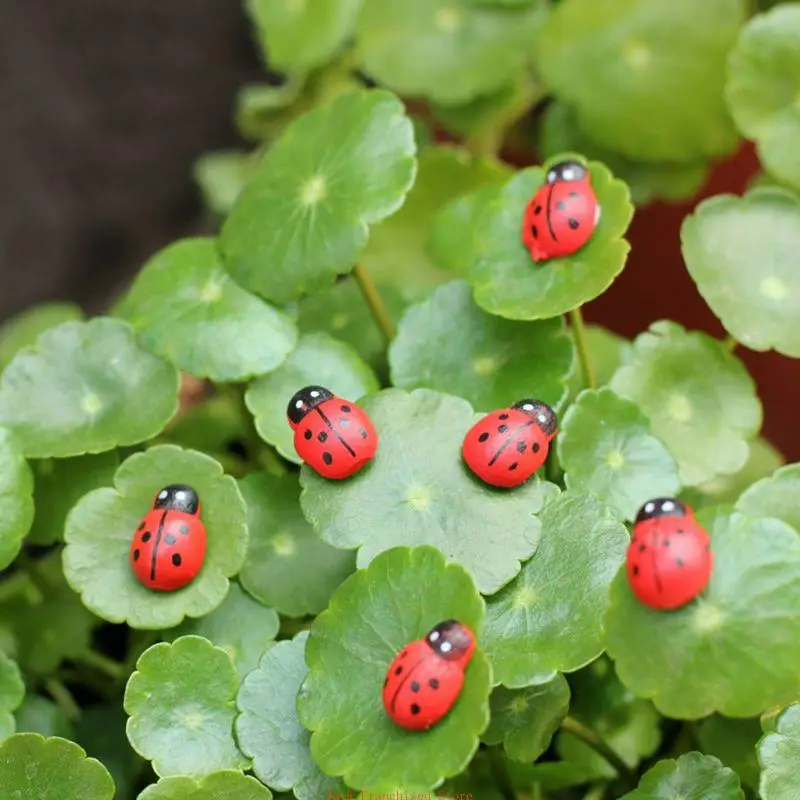 100pcs Mini Ladybugs Shaped Stickers Miniature Ornament DIY Fairy Garden Decor