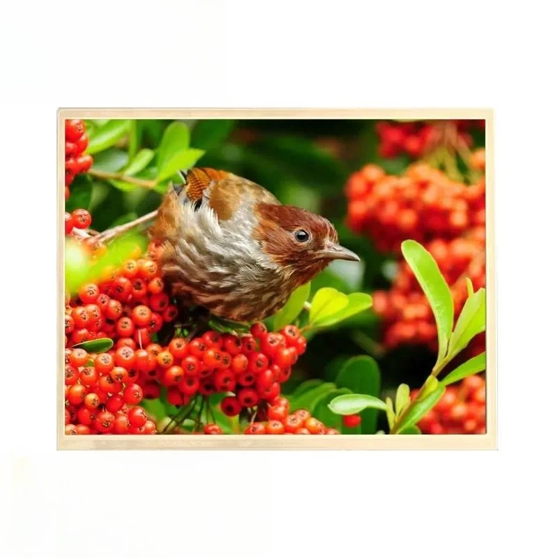 12.1 Inch Lcd 1024x768 MIPI Interface IPS Full Color LCD 12.1 Inch Liquid Crystal Display