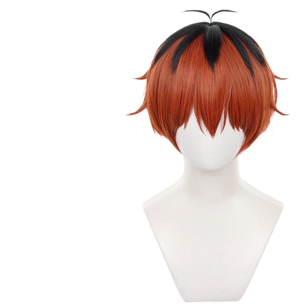 Peluca de cosplay Furion para "Furion" en "Hurtalk" - Mezcla especial de colores, parte superior peluda, parte superior de piel