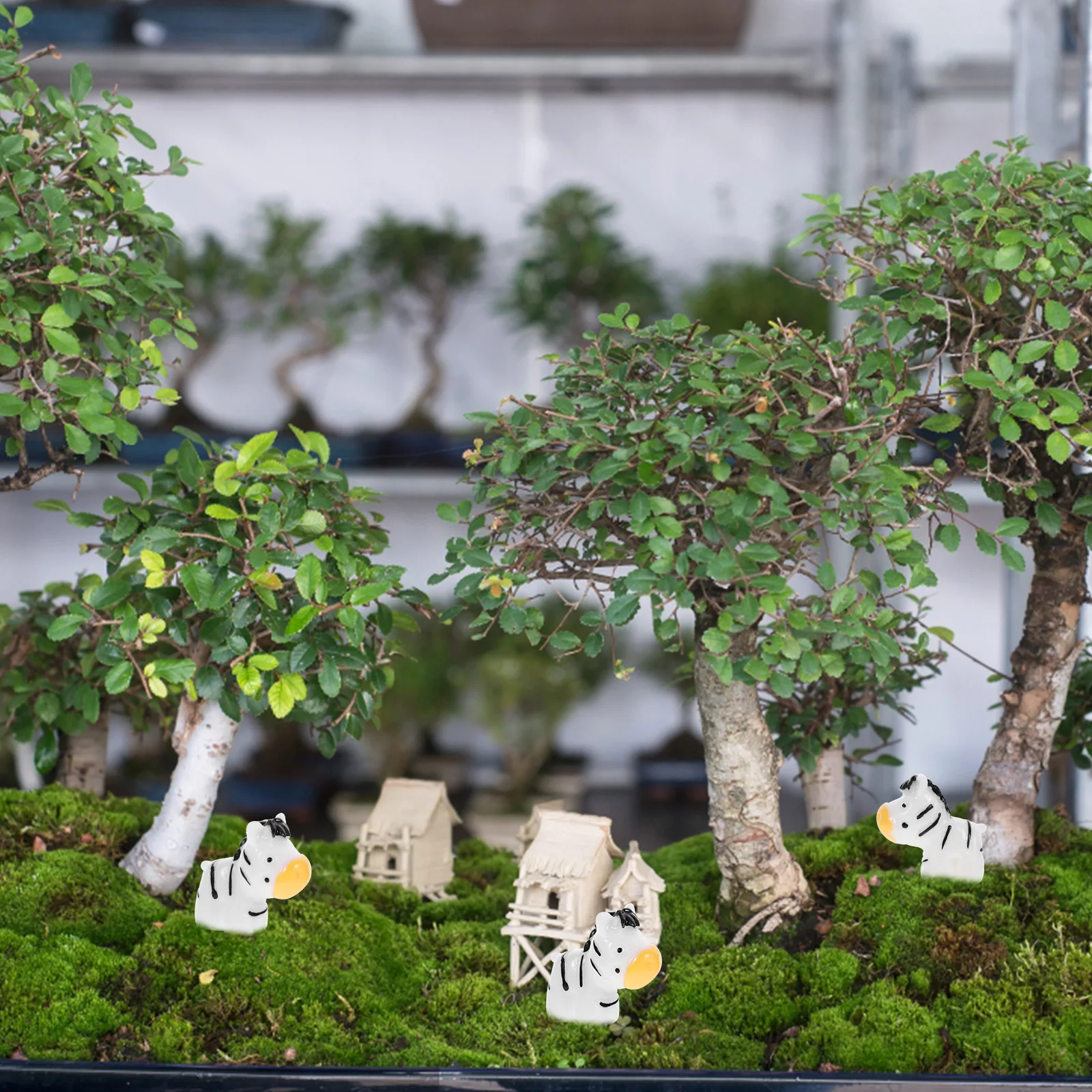 10 قطعة زيبرا الحلي مادة الراتنج ديكور آمن مكتب منزلي العصارة عيد الميلاد زيبرا صغيرة الديكورات ديكور للطاولات الطرف