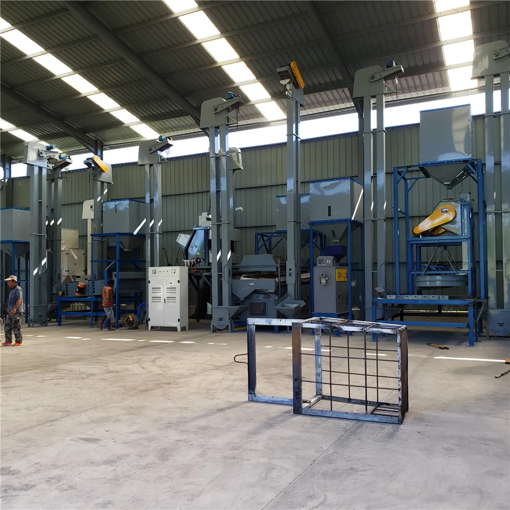 Sorghum Corn Barley Coffee Bean Cleaning Plant Multi Grain Processing Equipment CE Certified 500kg/hr Stainless Steel