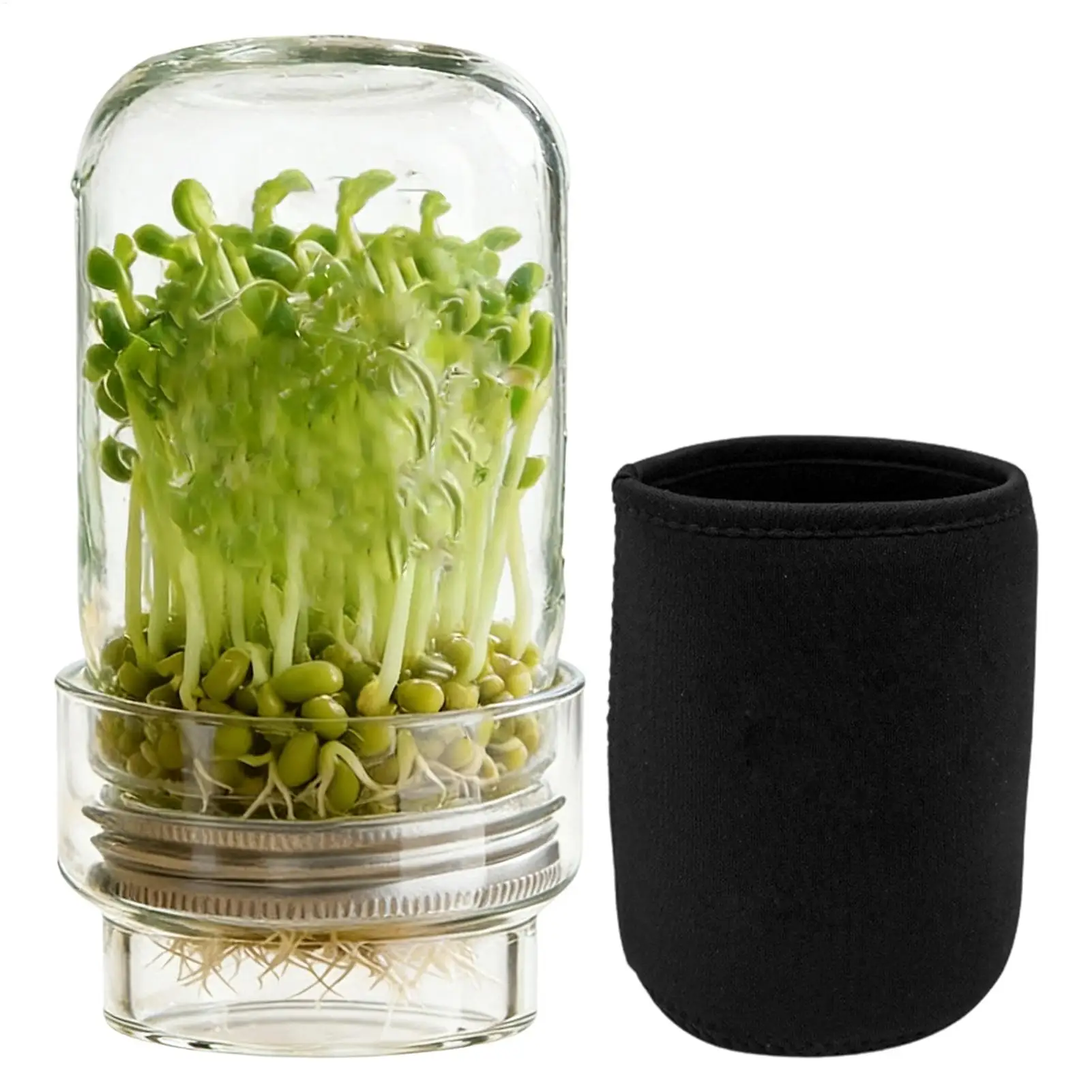 Kit de Germinación con Boca Ancha, Set de Germinación con Tapa de Acero Inoxidable, Soporte y Funda de Bloqueo de Luz para Cultivo de Brocoli y Brote de Frijol