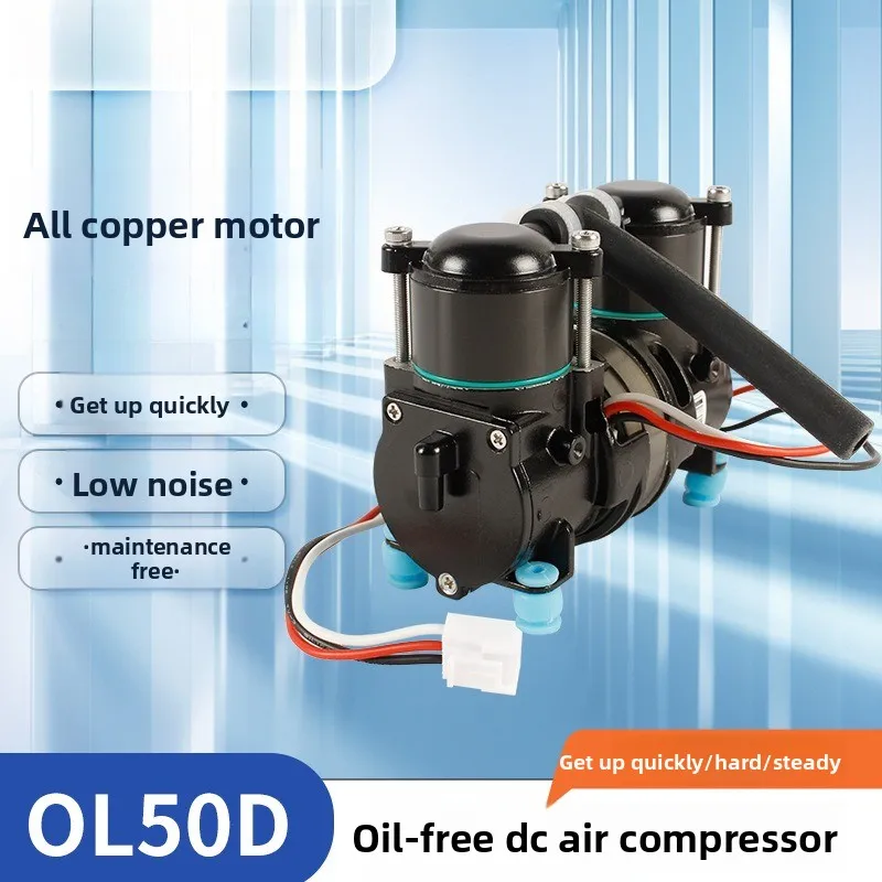 DC air compressor car portable can be used for oxygen concentrator 12V/24V high flow pump