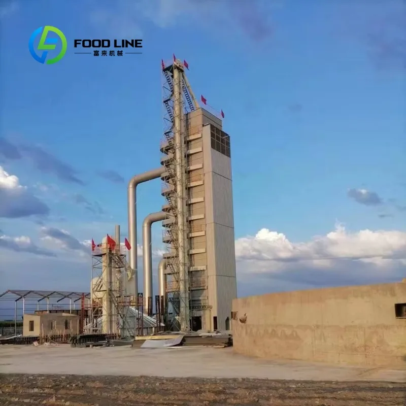 Customized 300T/D Corn Drying Tower - Grain Dryer for Large-Scale Reserve Projects