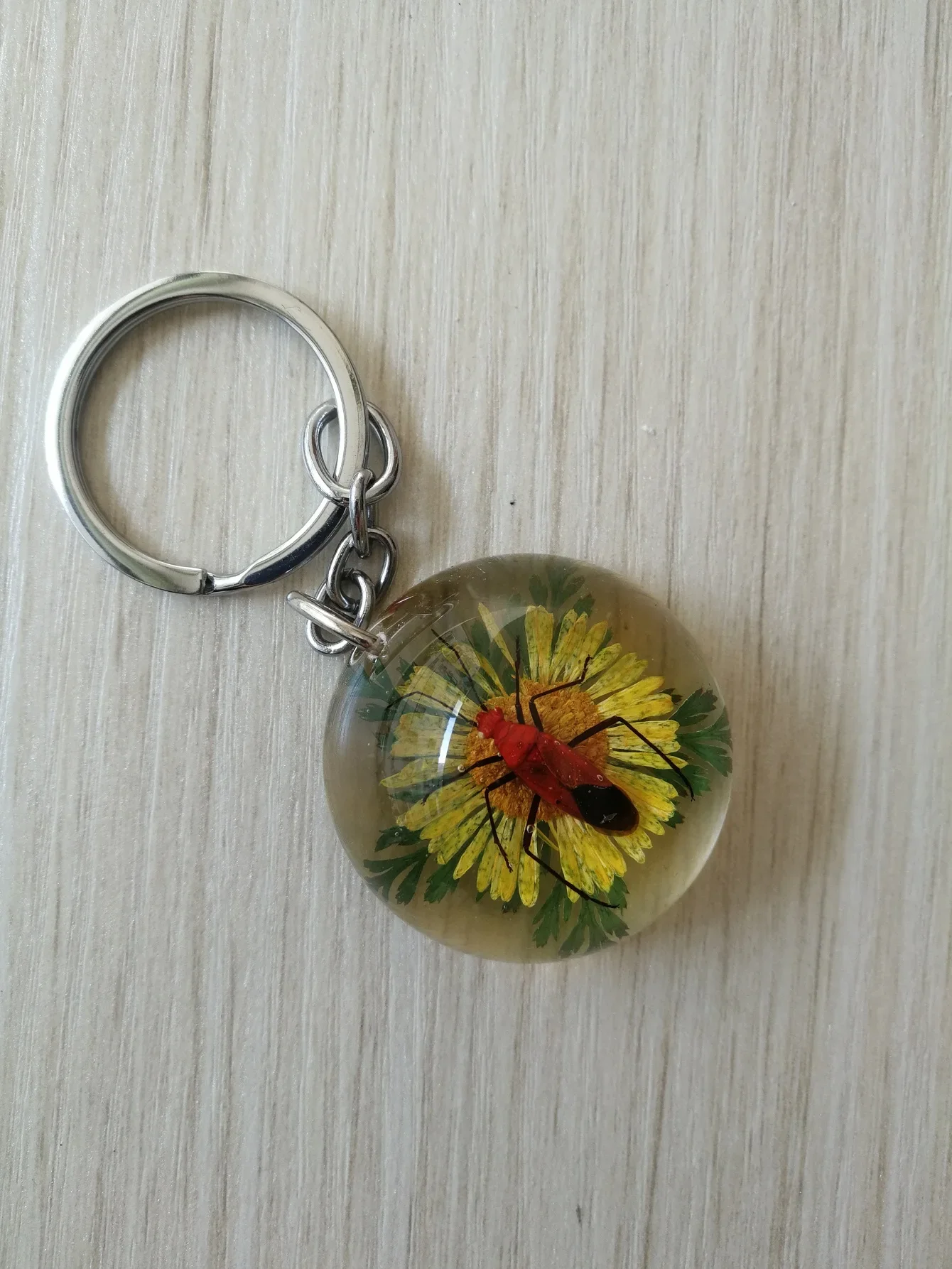 Insect Resin Keycha…