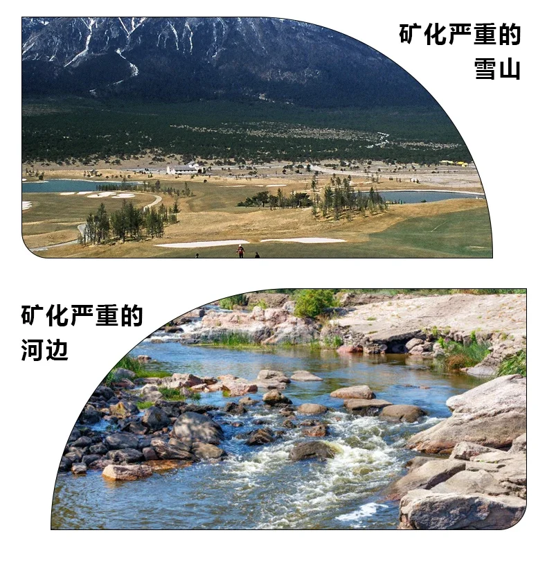 Australien Schatz Original importierter Golddetektor SDC2300 Unterwasser-Profi-Detektor