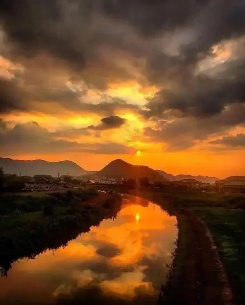 ΠΡΠΈΠ³ΠΈΠ½Π°Π»ΡΠ½ΡΠΉ Π»ΠΈΡΠΈΠΉ-Π»Π΅Π² Π°ΠΊΠΊΡΠΌΡΠ»ΡΡΠΎΡ Π΄Π»Ρ ILIFE V3s Pro, V5s Pro, V8s, V8 Plus, V80, V80 Max, V80 Pro, V3s Max 18650 6800 ΠΌΠΡ 14,4 Π PX-B010 ΠΡΠΈΠ³ΠΈΠ½Π°Π»ΡΠ½ΡΠΉ Π»ΠΈΡΠΈΠΉ-Π»Π΅Π² Π°ΠΊΠΊΡΠΌΡΠ»ΡΡΠΎΡ Π΄Π»Ρ ILIFE V3s Pro, V5s Pro, V8s, V8 Plus, V80, V80 Max, V80 Pro, V3s Max 18650 6800 ΠΌΠΡ 14,4 Π PX-B010