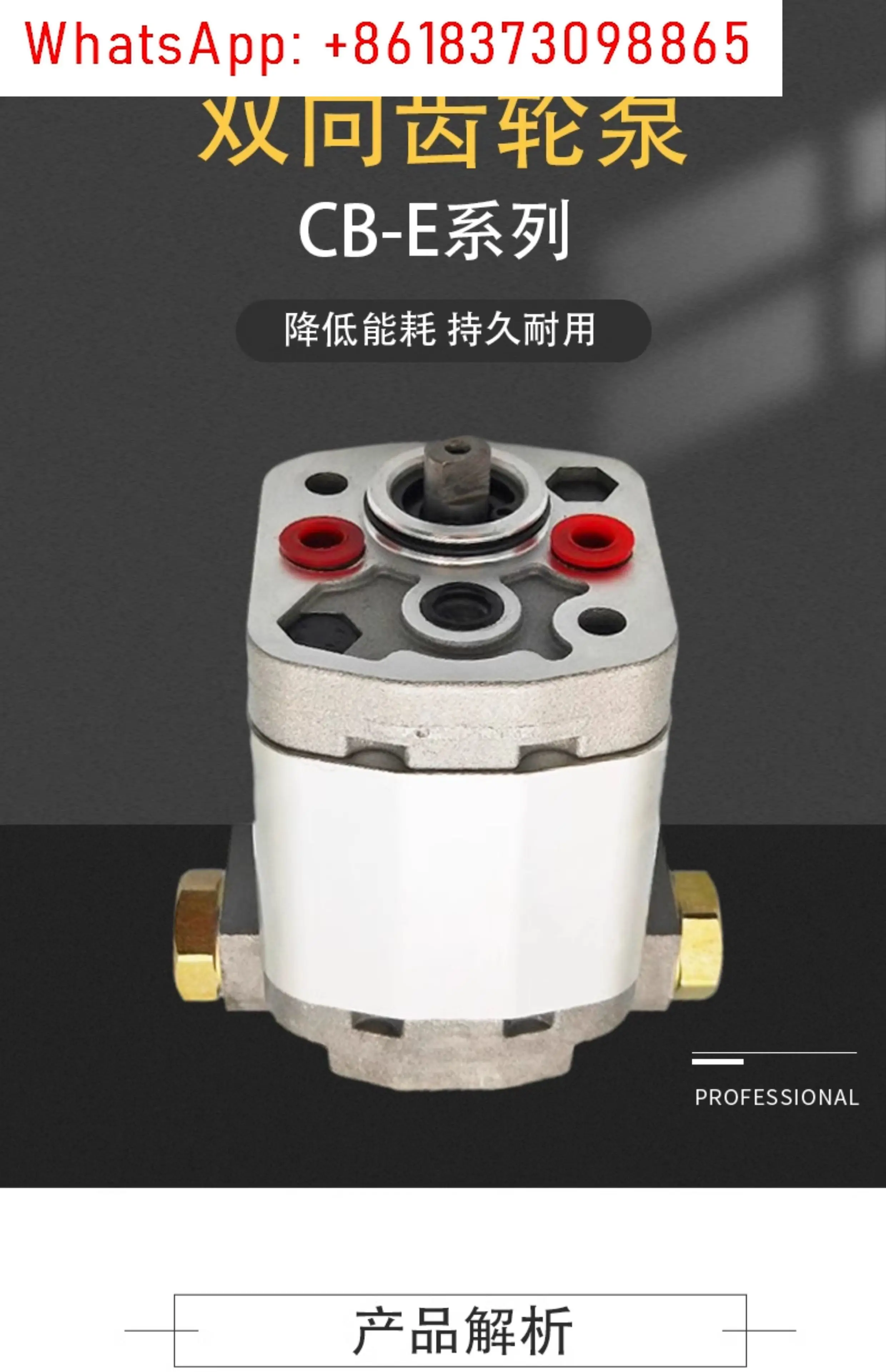 Bomba de engrenagem bidirecional CBTS-1.5 miniatura CB-E0.26/E0.32/E0.19/E0.65/E0.38