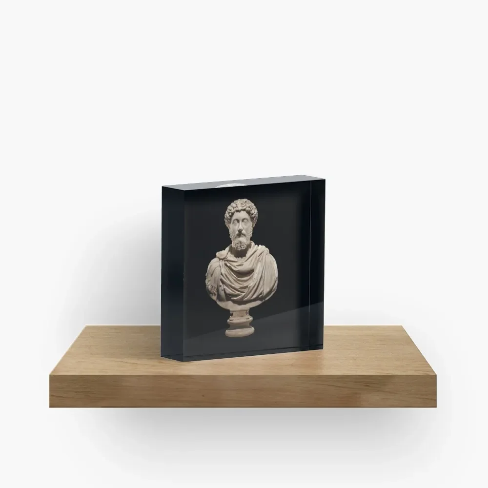 Marcus Aurelius Stoicism  Acrylic Block Process Family Clear Decor Photos Wedding Cute Home Funny Board  Print Decoration