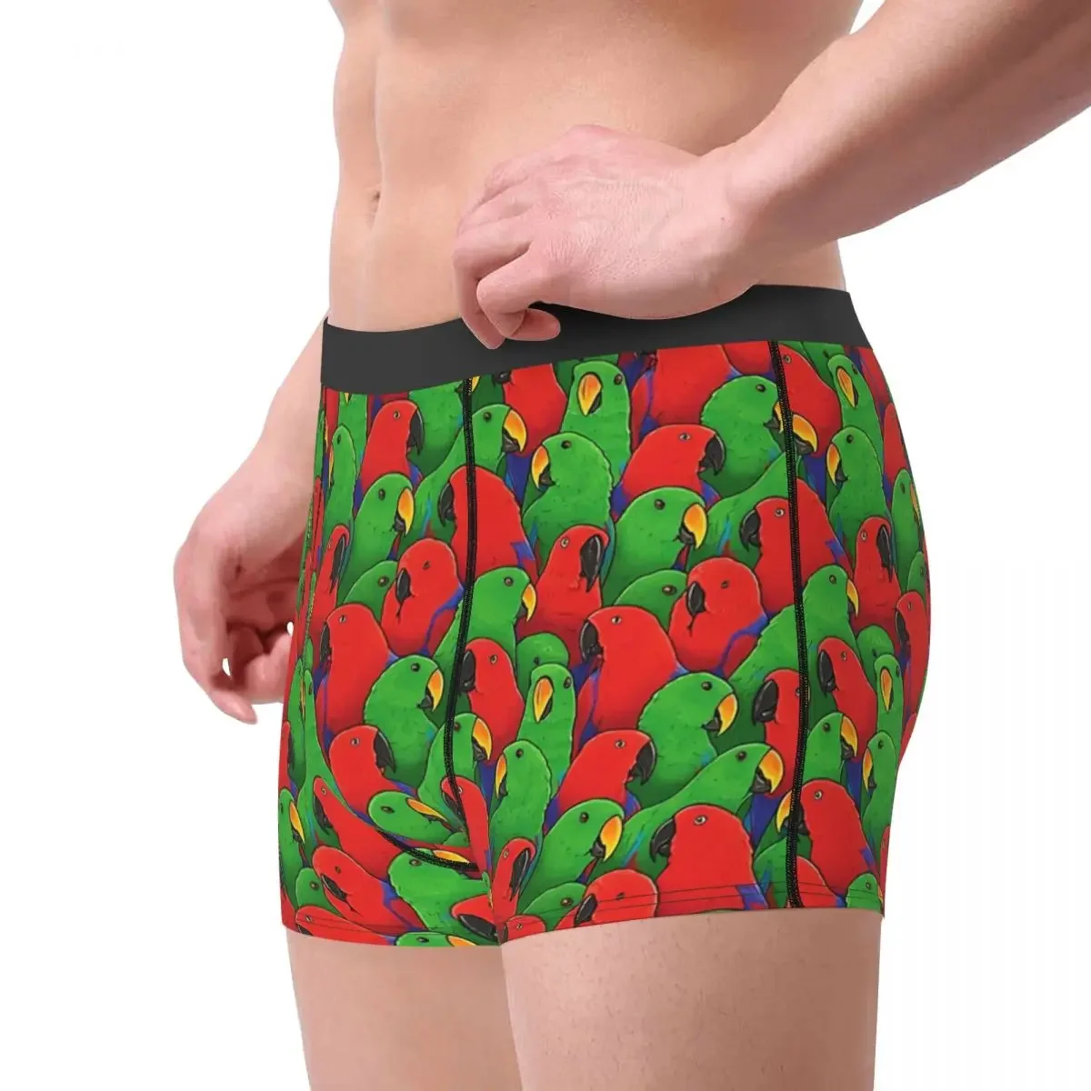 Male And Female Eclectus Parrots Underpants Breathbale Panties Male Underwear Print Shorts Boxer Briefs