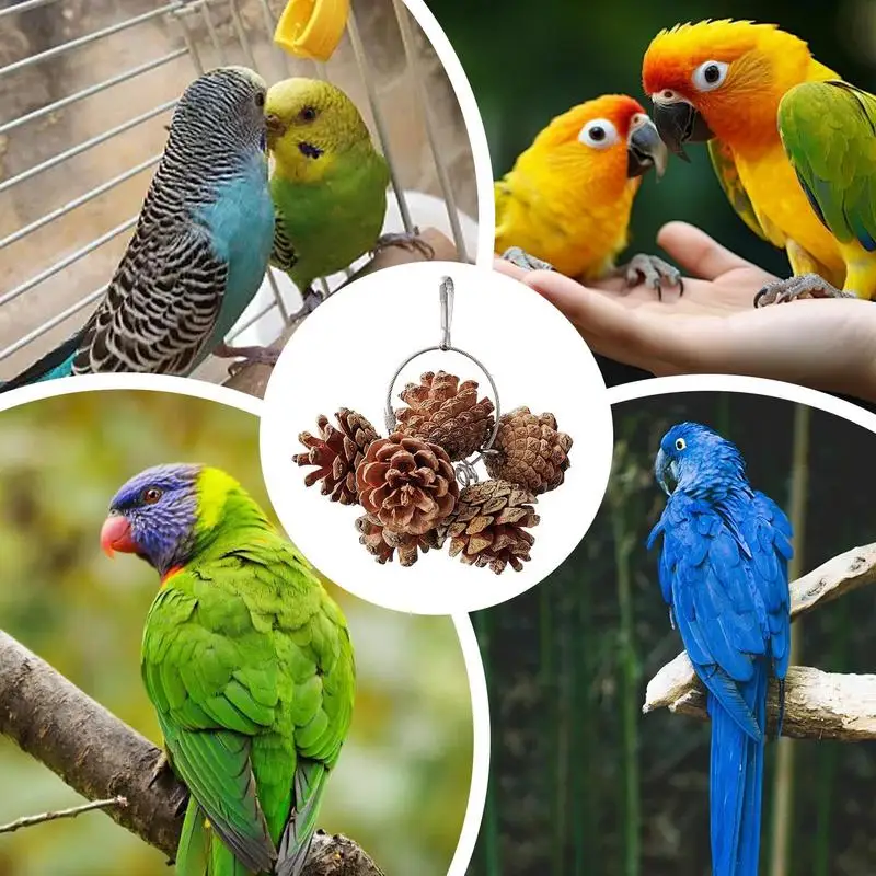 Bird Toys For Parrots Foraging Pinecone Natural Nuts Foraging Toy Bird Cage Accessories Bird Toys For Cage For Small And