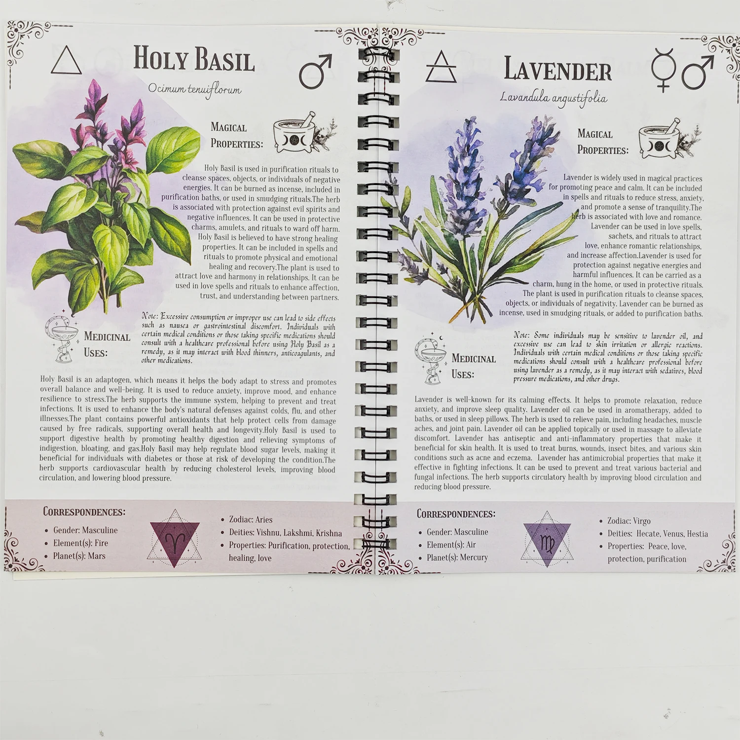 Livro de guia de feitiço Herbal Grimoire 27 feitiços para sorte, cura, proteção, amuletos e muito mais! Presentes de Bruxaria para Iniciantes