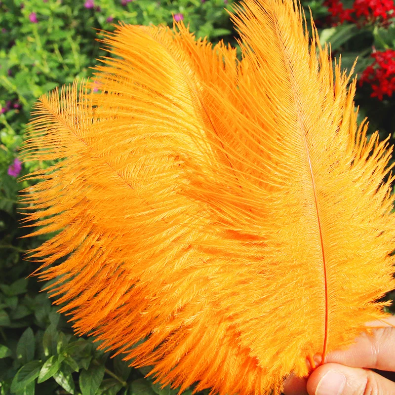 15-20cm 검정 타조 깃털 대량 깃털 웨딩 장식 파티 센터피스 DIY 공예품 홈 장식용