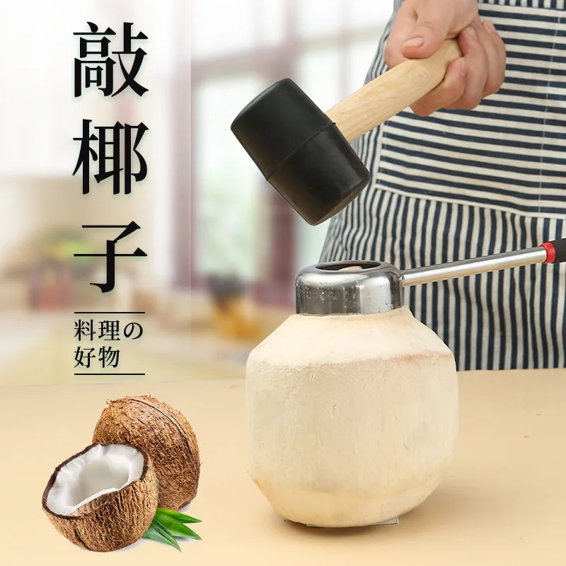 Coconut Shell Drill & Meat Scoop Tool, Stainless Steel Coconut Opener for Home Kitchen