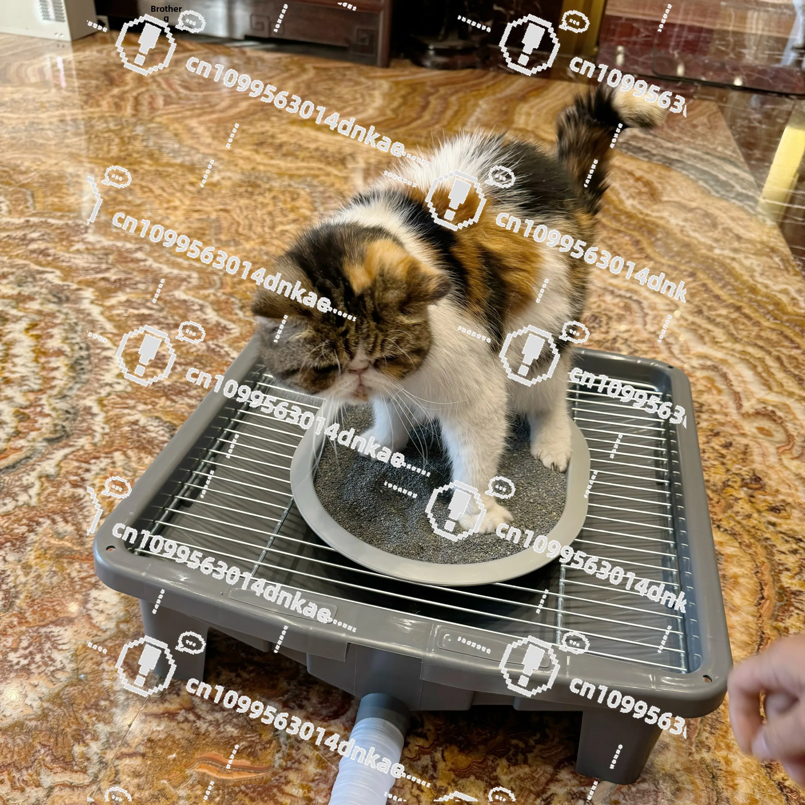 自動誘導洗浄機能付き猫トイレ-猫用トイレ-犬用トイレ-便利な洗浄-直接排水-ペットトイレ