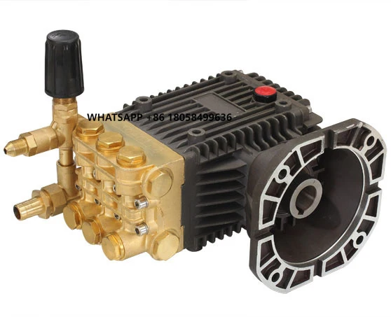 

3800 Psi 262bar 18lpm Plunger High Pressure Pump Water Pump Triplex Car Wash High Pressure 15HP SML2209A