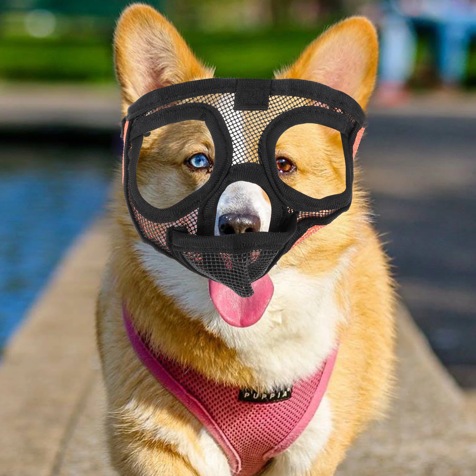 

Adjustable Breathable Muzzle for Medium Dogs Anti Bark Anti Bite Short Snout Dog Mask Easy to Wear and Clean Pet Muzzle
