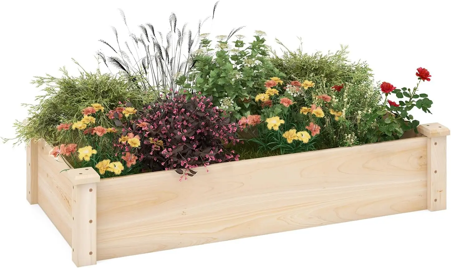 

Wooden Raised Garden Bed Rectangular Planter Box for Vegetables Fruits Flowers Herbs 48" Lx24 Wx10 H Outdoor Elevated Planting B