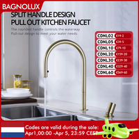 Brushed Gold Kitchen Faucet Invisible Pull Out Spray Mixer Double Hole Single Handle Solid Brass Hot and Cold Separate Sink Tap
