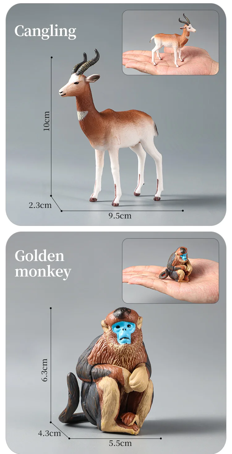 Montessori Wildtiere Modell Spielzeug Set – Löwe Elefant Antilope Actionfiguren Miniatur Zoo Figuren Pädagogisches Geschenk für Kinder – Detail 12
