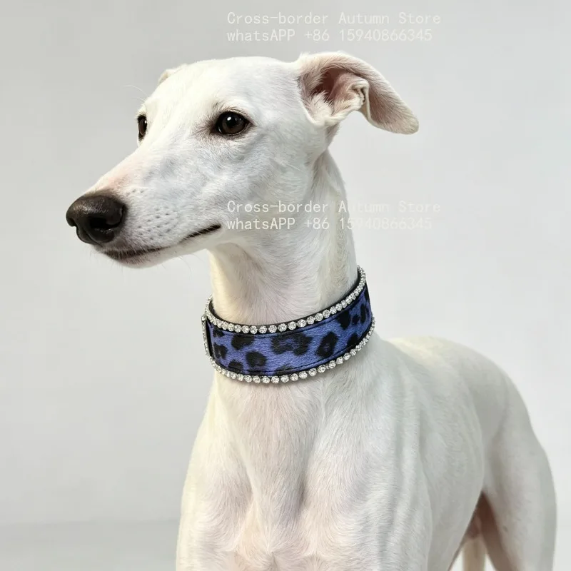 Dog collar P-ring leash, Doberman collar dog leash  XS - Ultra Small [Narrow Version] S-M-L