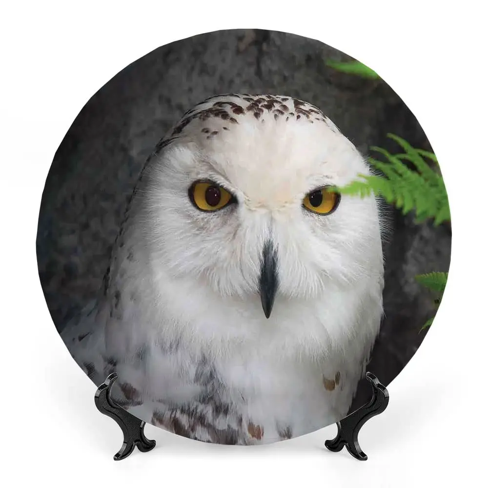 Ceramic Plates, Wizard Decorative Ceramic Plates, Pattern White Owl Themed Animal Green, Household Plates Decorative