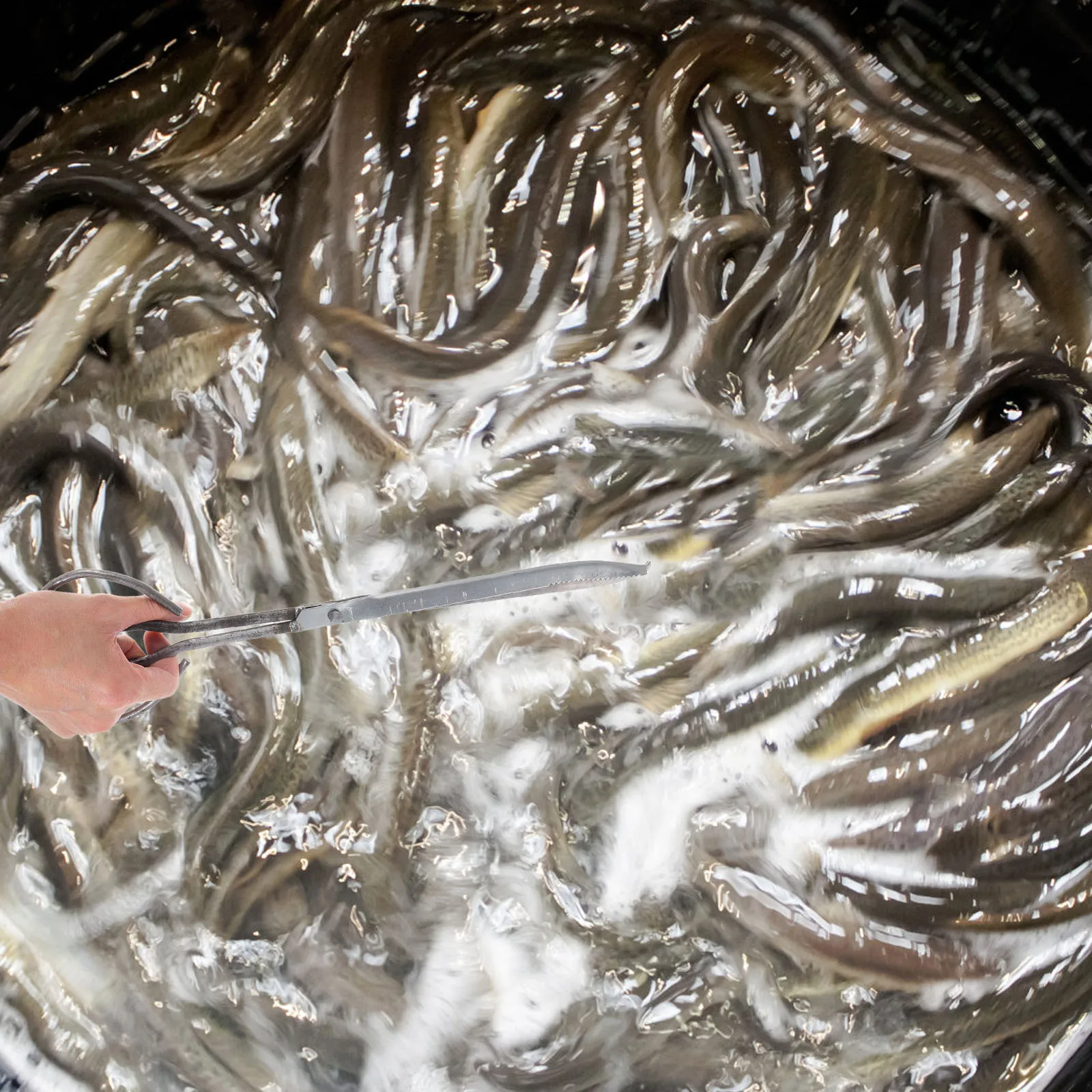 

Crab Tongs Ergonomic Handle Long-Lasting Construction Multi-Purpose Aquatic Creature Catcher Ideal for Outdoor Enthusiasts