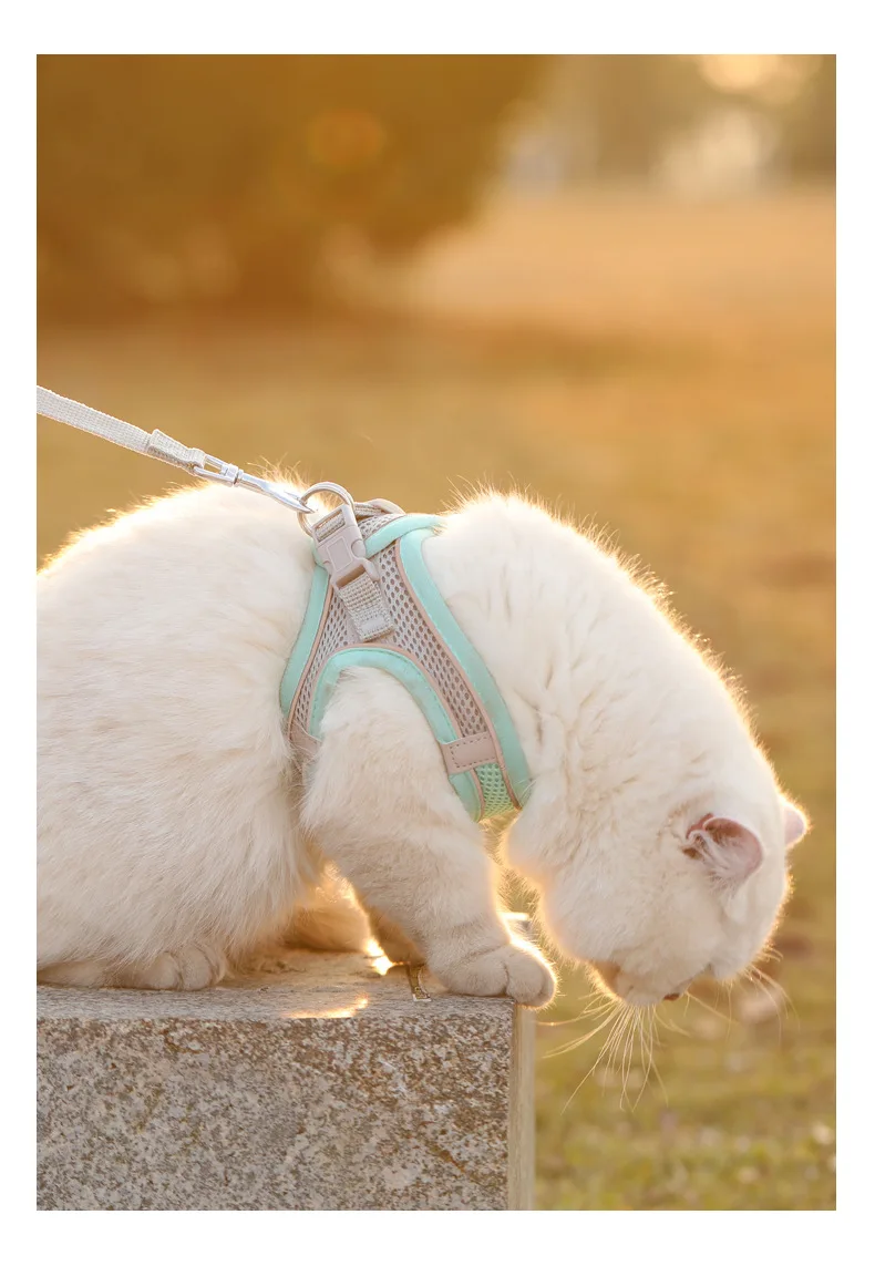 Katzen- und Hundegeschirr-Set mit Brustgurt, Reflektierend, Atmungsaktiv, Verstellbar, Haustiergeschirr für Kleine und Mittelgroße Hunde, Outdoor-Spaziergang – Detail 7