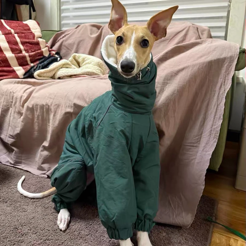 

Теплая регулируемая зеленая толстовка с высоким воротом для собак уиппета, зимняя светоотражающая ветрозащитная флисовая черная куртка для итальянского борзая