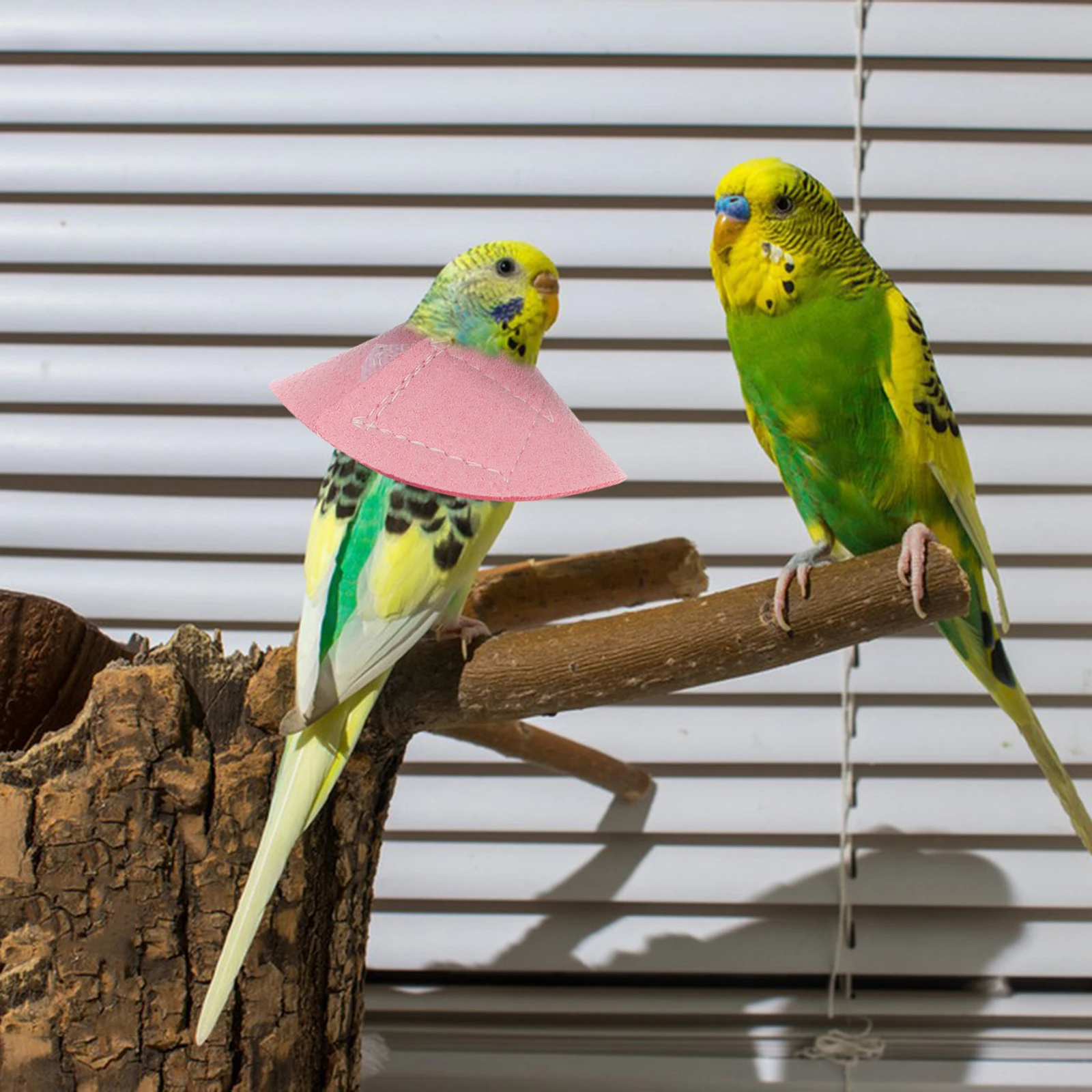 4 Pcs Pet Protective Collar Anti-bite Adjustable Size Parrot Bird Recovery Neck Red Print Health Care - Image 3