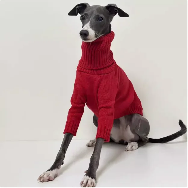 Italian Little Greyhound red turtleneck sweater Soft lapel long sleeve Whippet Greyhound sweater Belington