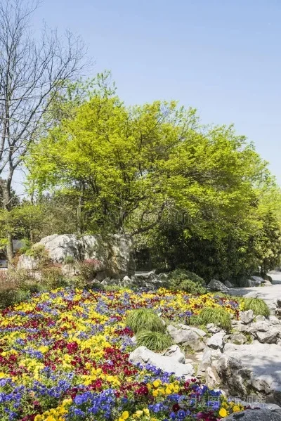 

Giant 5L Moscow Mule Copper Mugs Metal Mug Cup Stainless Steel Beer Wine Coffee Cup