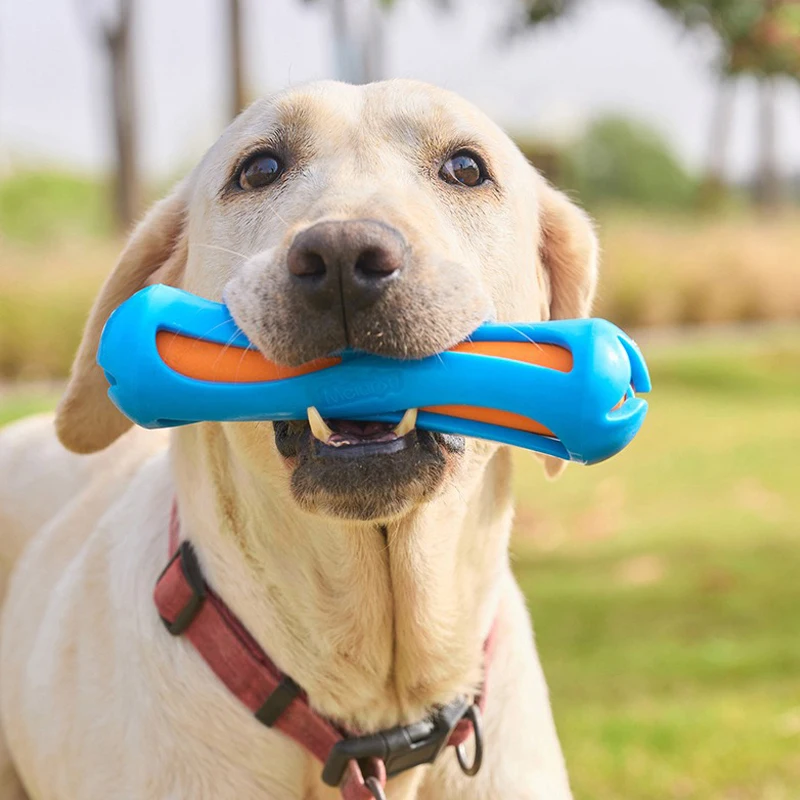Juguete acuático interactivo para perros – Flotante y mordible - imagen 3