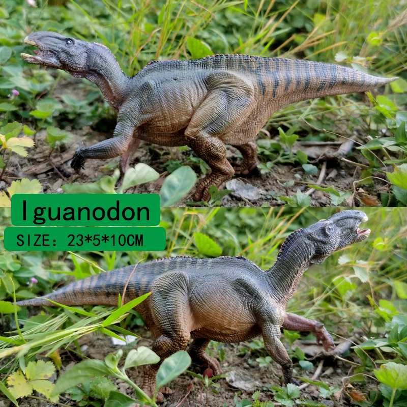 6 to 13 Inch Dinosaur Figure Set, Ideal Education Toys for Kids and Toddler, Iguanodon, Stegosaurus, Brachiosaurus,Velociraptor