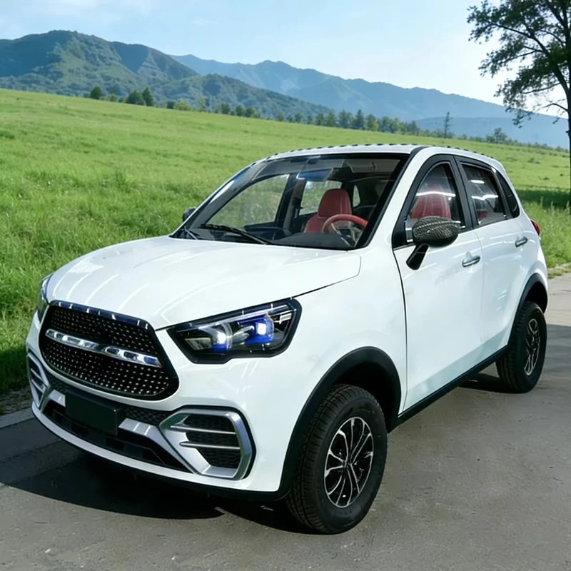 Factory Wholesale Luxury Electric SUV Accessory Low-speed with 101-200km Range and 50kW Motor