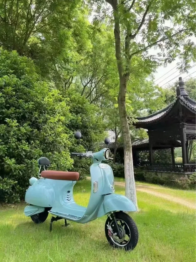 2025 New Style Daily Commuting Electrical Motorbike Scooter 1200W High Power City Electric Motorcycle Adult Electric Mopeds