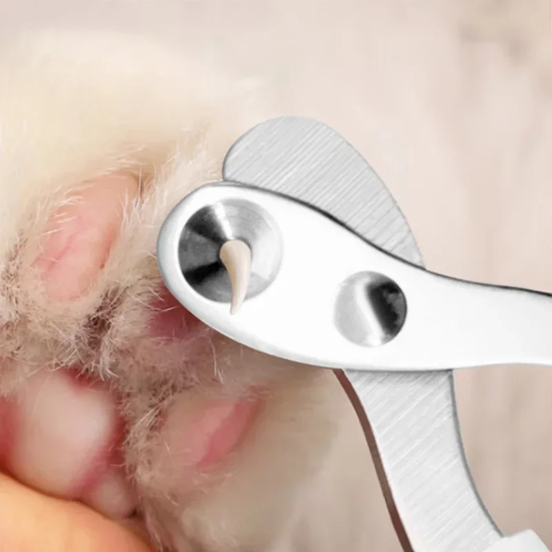 Professional Pet Nail Clipper Claw Grooming Scissors for Small Dogs Cats Accessories Dog nail Pets Pet salon Dog nails clipper