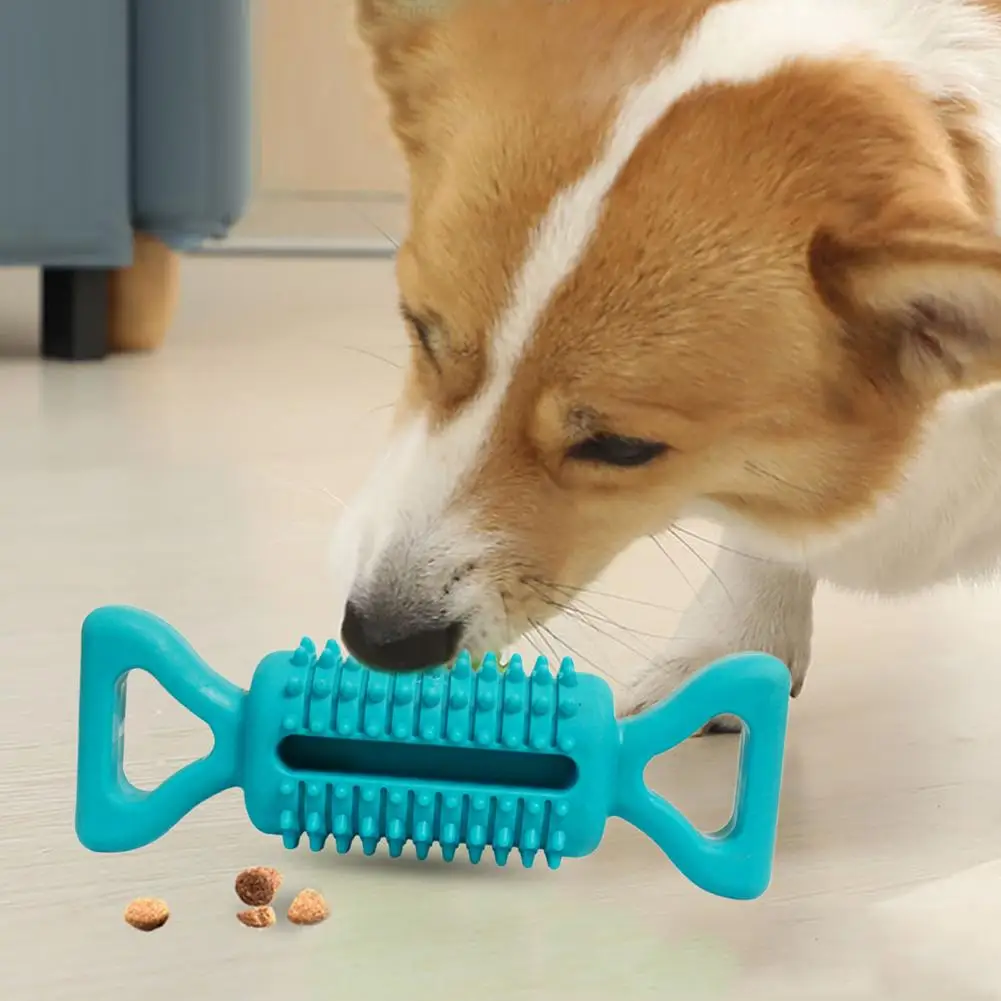 Pet Chew Toy  Multi-use Teeth Grinding TPR Chew Toy  Lightweight Pet Teething Toy