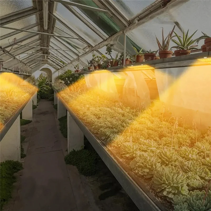 Promotion! Full Spectrum Plants Grow Light Auto On/Off LED Lamp Sunlight Quantum Grow Lamp