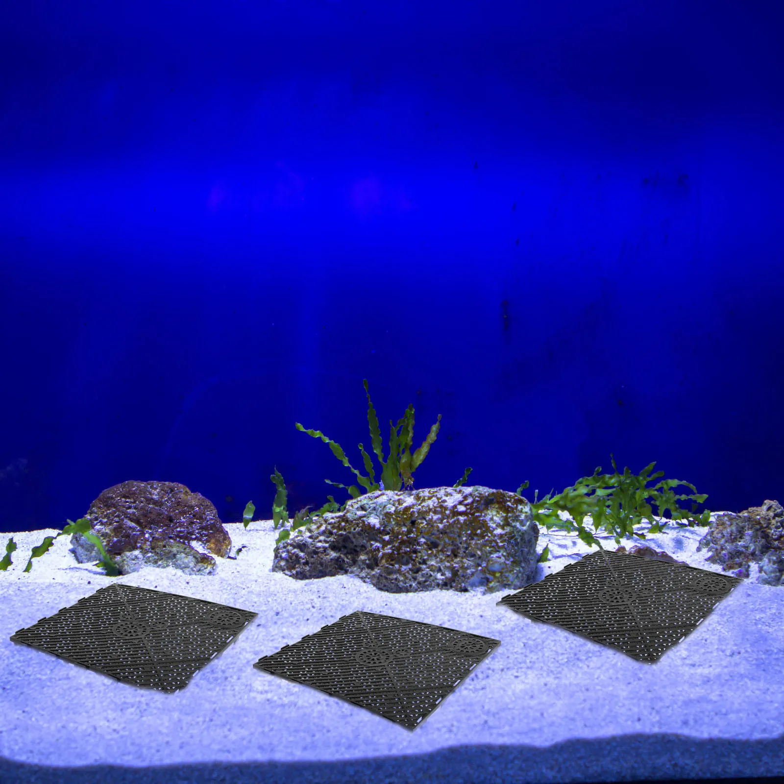 

5pcs Bottom Filter Plate Partition Black Divider Sand Board for Fish Tank Multi Hole Strong Support Aquarium Supplies