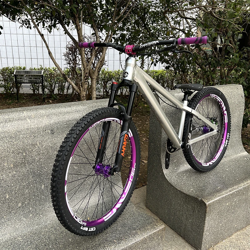 BOARSE Soil Slope Scheibenbremse 26 Zoll Aluminiumlegierung Rahmen Single Speed DIY Action AM MTB Fahrrad 26*2.125 Reifen
