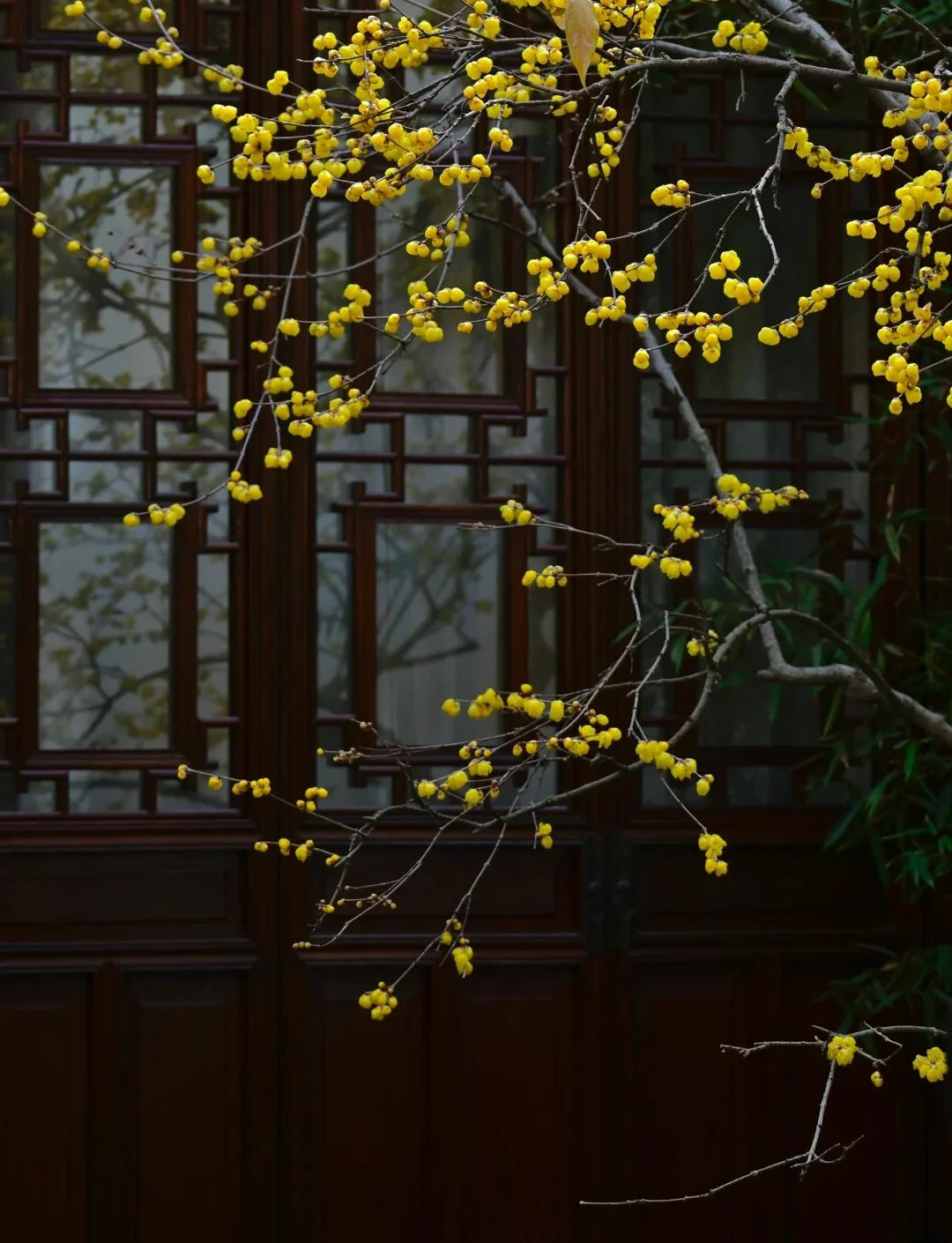 

12,3-дюймовый головной блок для Porsche Cayenne, навигация, GPS, радио, CarPlay, автомобильный мультимедийный плеер, сенсорный экран, Bluetooth DSP